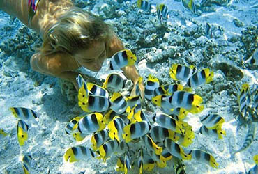 https://surinislands.com/images1/surin-islands-day-trip.jpg?utm_source=chatgpt.com